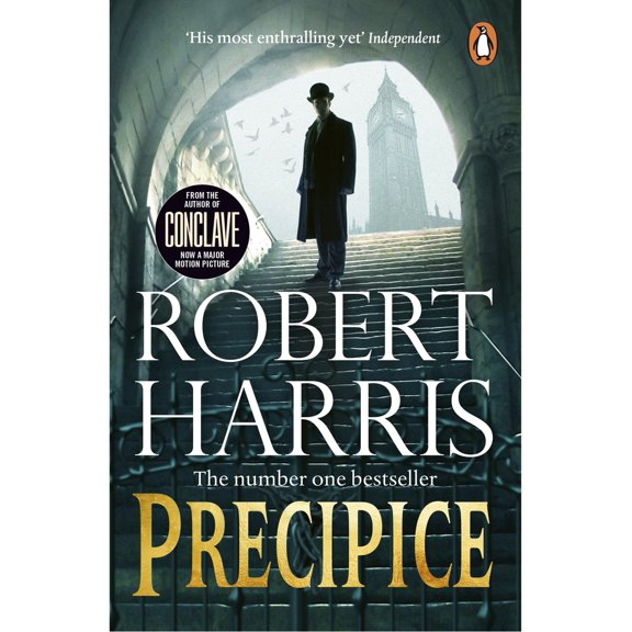 Pre-Owned Precipice (Paperback) 1804941298 9781804941294