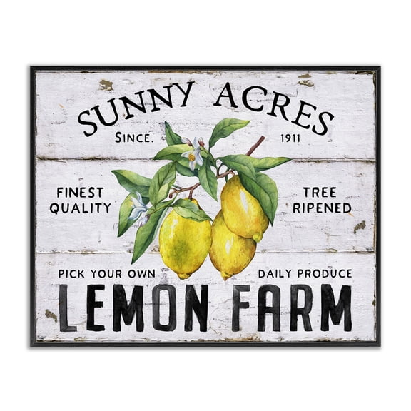Stupell Industries Sunny Acres Lemon Farm Food & Beverage Painting Black Framed Art Print Wall Art, 14 x 11
