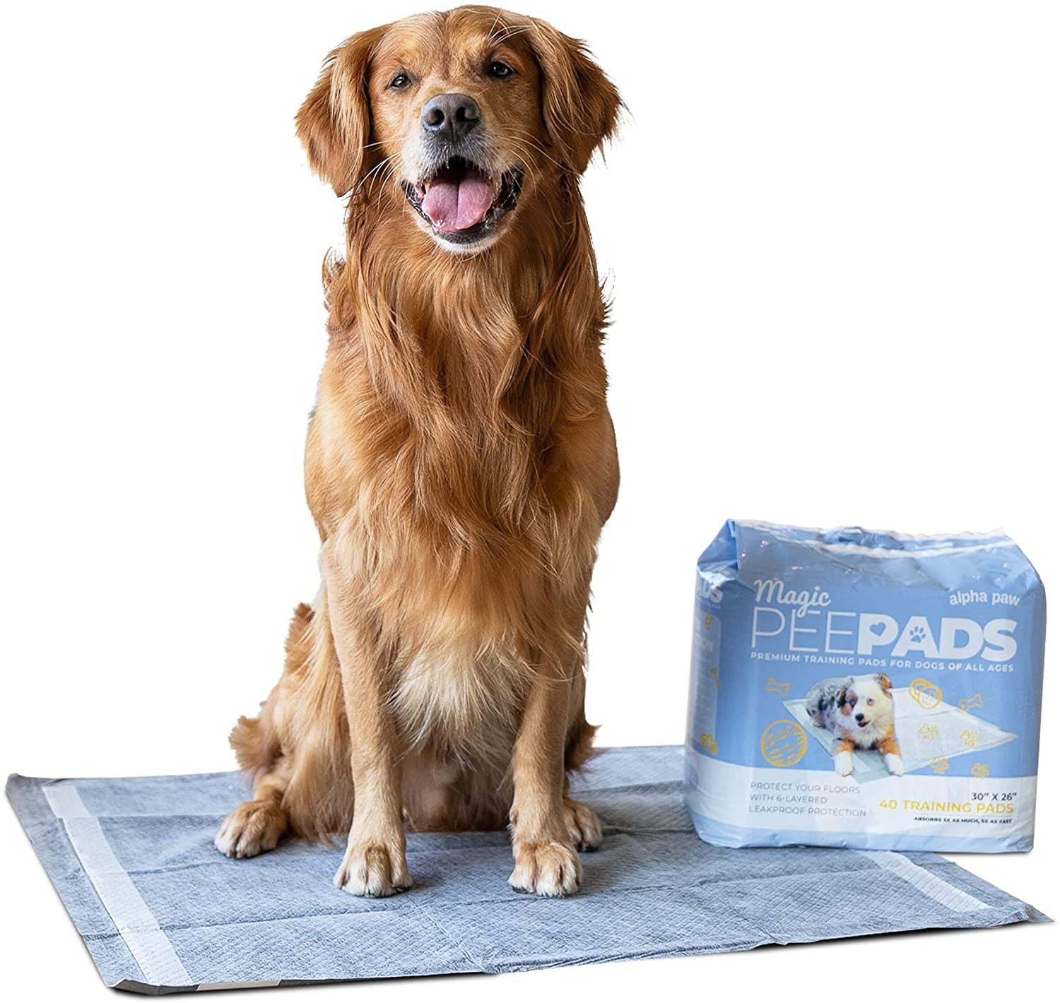 How Do You Attract A Puppy To Pee On A Pad