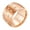 Rose Gold, variant on Unisex Stainless Steel 14MM Creative Romantic Gypsophila Starry Sky Ring Micro CZ Inlay Promise Couples Wedding Band Rose Gold Size 8