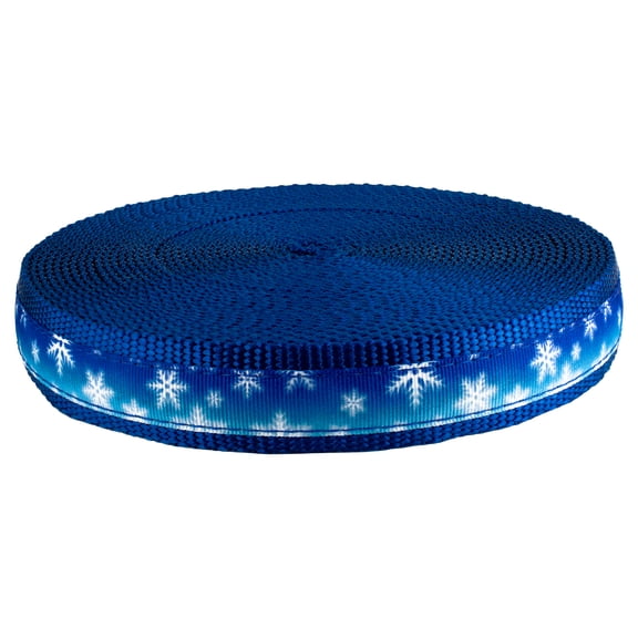 Country Brook Design - Winter Wonderland Ribbon on Royal Blue Nylon Webbing (1 Inch, 5 Yards)