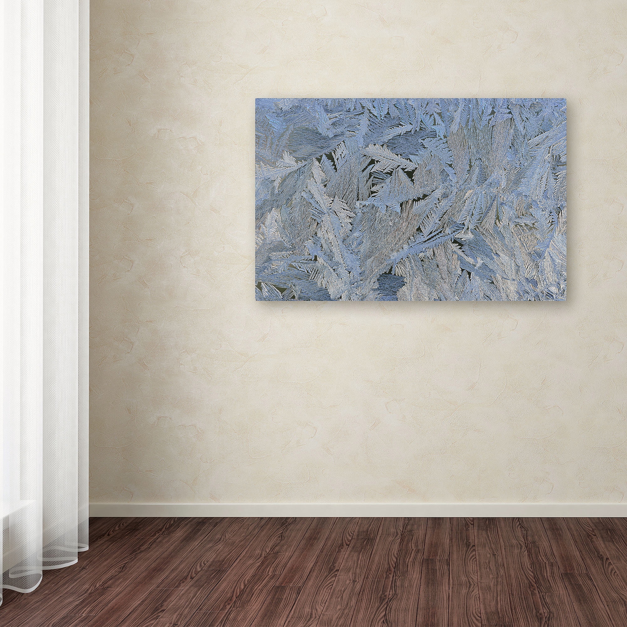 Trademark Fine Art "Frost Pattern #6" Canvas Art by Kurt Shaffer