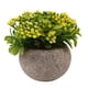 thumbnail image 1 of Labymos Mini plantas artificiales en maceta, maceta, 1 of 8