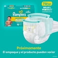thumbnail image 3 of Pañales desechables para bebés Pampers, tamaño 6 (más de 15 kg) 84, 3 of 10