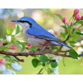 thumbnail image 1 of Blue Bird - Peinture Diamant DIY, 1 of 6