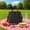 Black_Hot#1030, variant on Insulated Lunch Box Bag, Large Capacity Portable Bento Storage Bag with Shoulder Strap, Thermal Leakproof Tote Bag for Office, School, Travel, Polyester, Black/Gray/Blue/Pink