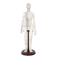 thumbnail image 2 of TISHITA Acupuncture Model 20 inch Tall with Stand PVC Versatile Human Practice Model Female Soft, 2 of 8