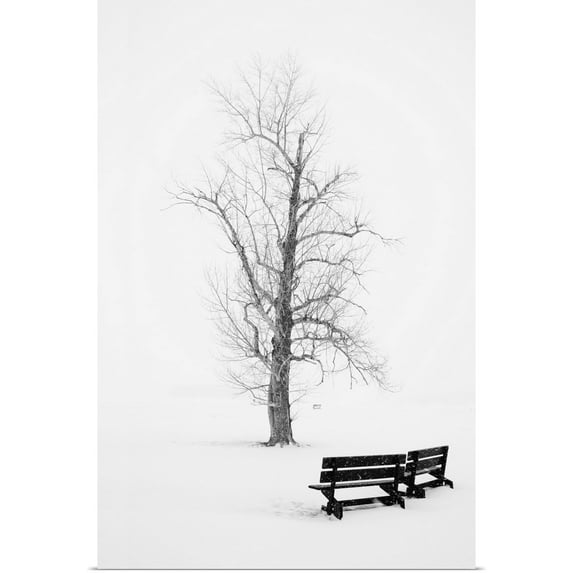 Great BIG Canvas | "Public Park In Winter" Art Print - 24x36