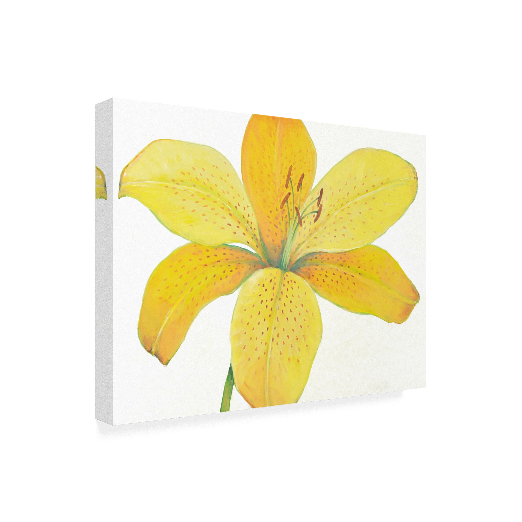 Trademark Fine Art 'Citron Tiger Lily II' Canvas Art by Tim OToole