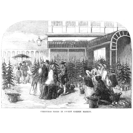 English Christmas Market Breaks Christmas Tree Market NChristmas Trees In Covent Garden Market Wood Engraving English 1854 Poster Print by Granger Collection ()