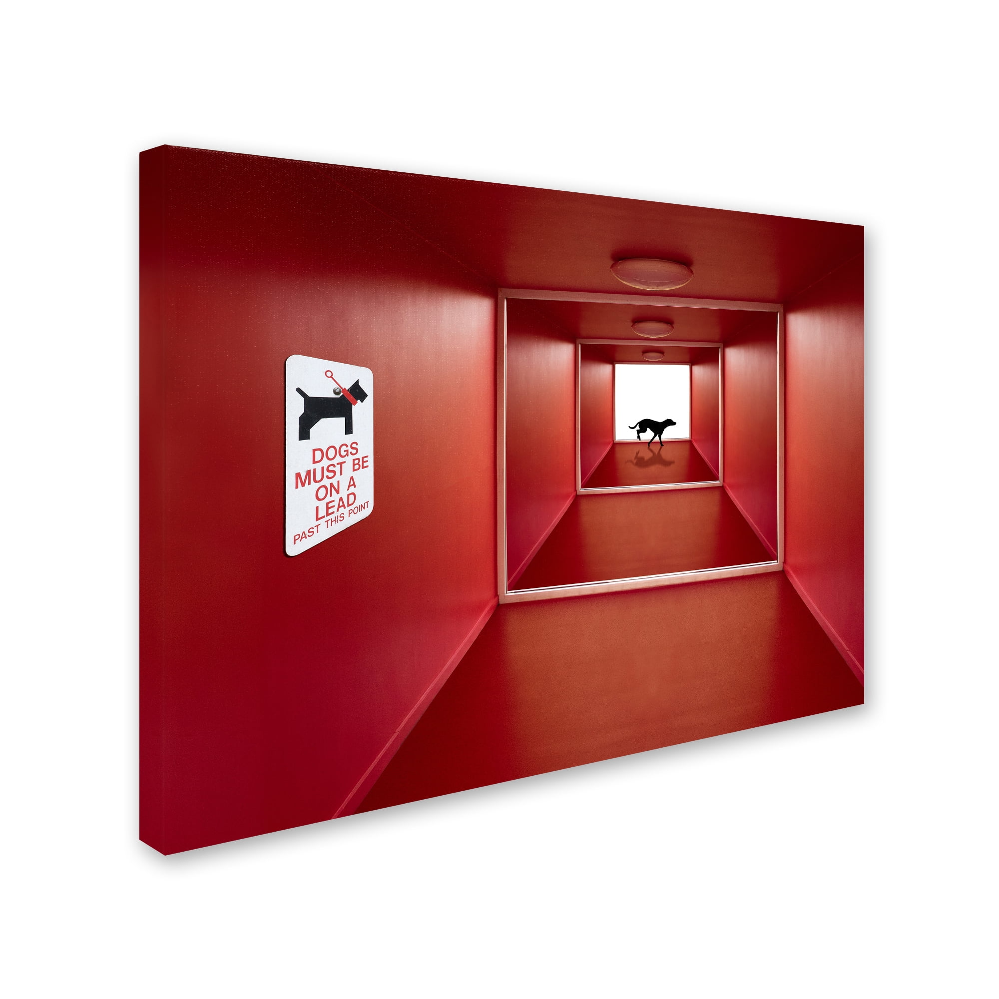 Jacqueline Hammer 'Dog On The Loose' Canvas Art