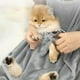 thumbnail image 3 of Delantal para Mascotas con Agujeros Manos Hombro Gato Abrazo Traje con Bolsillo Ajustable Saco de Dormir para Gato Llevar Delantal de Sujeción Gris, 3 of 4