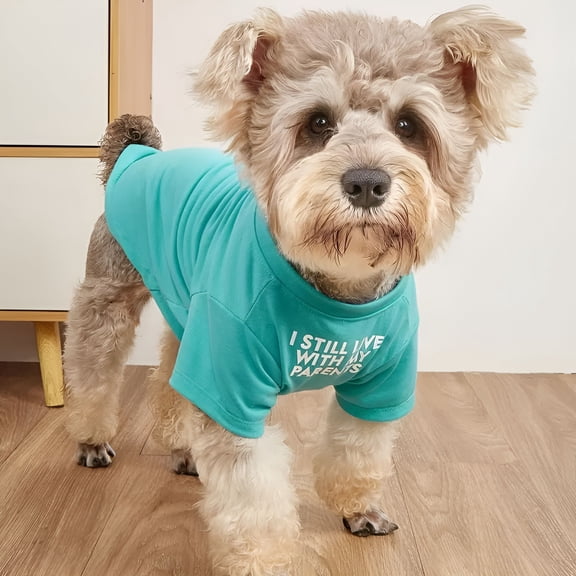 GASTROPOD Cute Dog Clothes, T Shirt for Medium and Small Dogs Girl Boy, Puppy. Breathable Soft Dog Costume for Pet Dogs Cats, Pet Pullover Jumper, Cat Clothes (L-(10~17lb), Chest~18", Aqua)