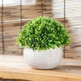 thumbnail image 3 of Artificial Plant Potted Lifelike Round Fake Greenery Plant Faux Plant Decoration, 3 of 10