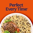 thumbnail image 5 of Ben's Original Ready Rice Long Grain and Wild Flavored Rice, Easy Dinner Side, 8.8 Ounce Pouch, 5 of 11