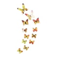 thumbnail image 1 of Pegatinas de pared Calcomanías 12 pegatinas de mariposa para manualidades, calcomanías de pared de mariposa 3D luminosas para jardín Fanmusic Pegatinas de pared Calcomanías, 1 of 7