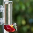 thumbnail image 4 of Perky-Pet Window Mounted 14 oz Glass Hummingbird Feeder, 4 of 4