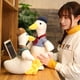 thumbnail image 4 of Muñeco De Pato Pequeño Superbonito, Juguete De Peluche De Pato Animador, Almohada Para Dormir, Cama De Bebé, Regalo De Cumpleaños Para Niños seitruly FN007809-03, 4 of 6