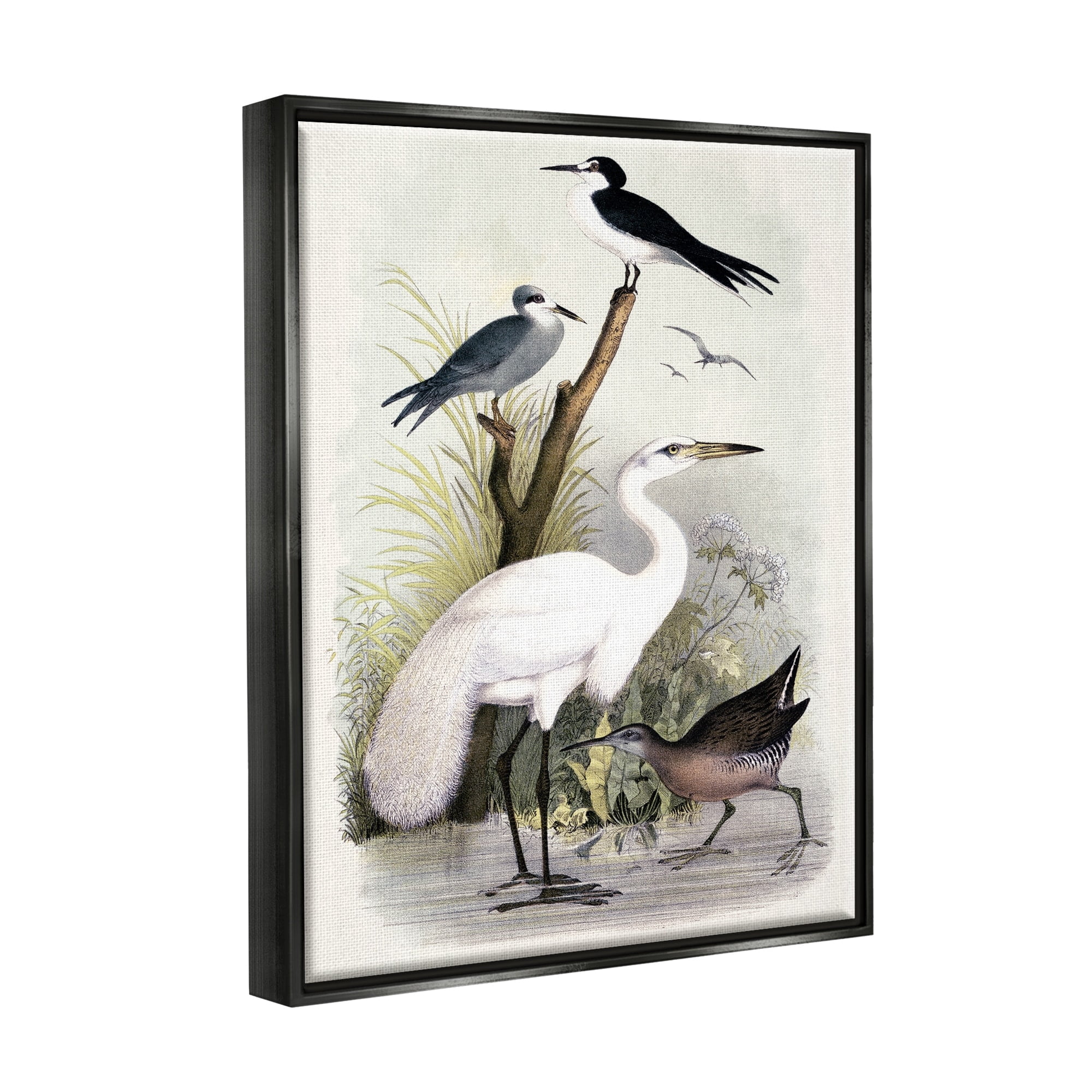 Stupell Industries Varied Crane Birds Gathered Riverbank Stream Botanicals Painting Jet Black Floating Framed Canvas Print Wall Art, Design by Piddix