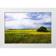 thumbnail image 3 of Alan Hausenflock 14x11 White Modern Wood Framed Wall Art Titled - Marshland Storm II, 3 of 5