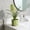 Green, variant on Geometric Plastic Plant Pot with Drainage Tray, Modern Irregular Faceted Small Flower Planter Indoor Home Decor 2 Pack