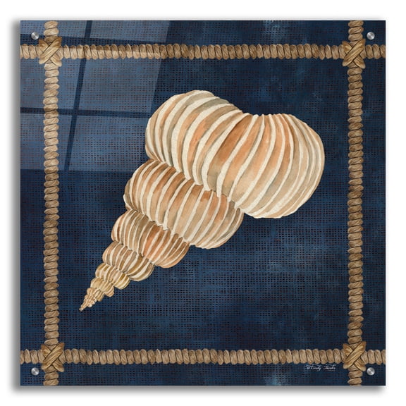 Epic Art 'Seashell on Navy III' by Cindy Jacobs, Acrylic Glass Wall Art, 24"x24"