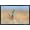 Black Framed Version, variant on The Comedy Wildlife Photography Awards: Anup Deodhar - Rockstar Wall Poster, 14.725" x 22.375"