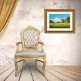thumbnail image 3 of Nawrocke, Bruce 14x11 Gold Ornate Wood Framed with Double Matting Museum Art Print Titled - Crane Field, 3 of 4