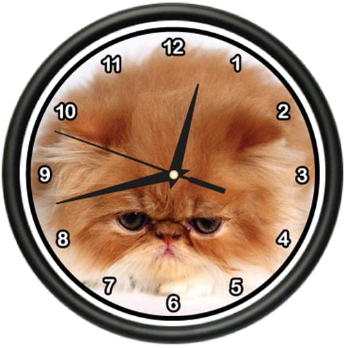 CAT LADY Wall Clock cats kitty pussy cat collector rescue lover save gag gift 