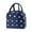 B, variant on Aminojy Insulated Lunch Bag for Work with Cat Pattern - Leakproof Thermal Lunch Box Cooler Bag for Office, Picnic & Outdoor Activities, Food, Fruits & Drinks Double Deck Insulated Lunch Bag