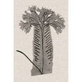 thumbnail image 3 of Lowe 11x14 Black Modern Framed Museum Art Print Titled - Custom Fern Family V (LG), 3 of 5