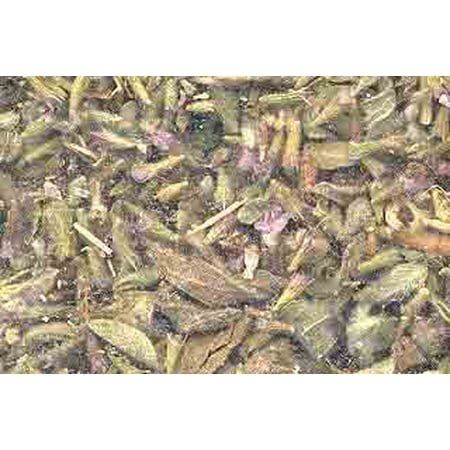 Pennyroyal Leaf Cut 1 lb Bulk Herbs