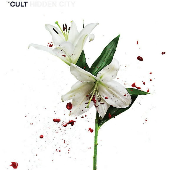 The Cult - Hidden City - Music & Performance - Vinyl