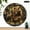 10x10in, variant on Patifu Bear Family In Forest Wall Clock Battery Operated Silent Sweep Movement 5mm Thick Wood 10x10in