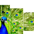 thumbnail image 4 of Pintura al impresión Gloria 5pcs decoración pared Sin marco Tamaño 20x30cm 20x40cm 20x50cm, 4 of 7