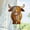 Multicolor, variant on Lilixerw Highland Cow Stained Glass Acrylic Ornament,3D Stained Glass Art Effects,Farm Animal Sun Catcher Ornament for Window,Car,Mirror,Wall,5.9 Inch