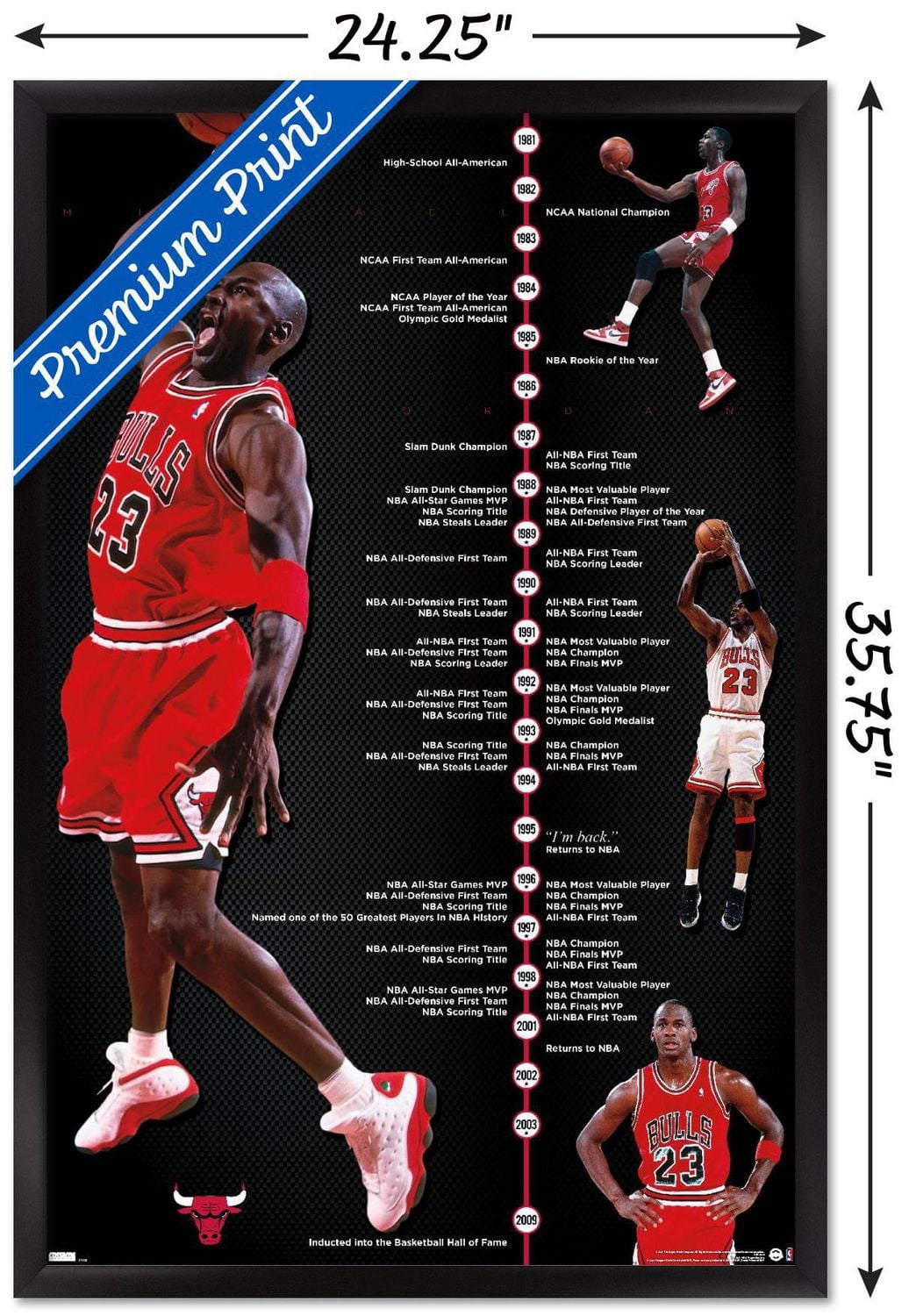 Michael Jordan - Timeline Wall Poster