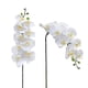 thumbnail image 2 of 3 piezas de tallos de orquídea artificial MENGJIAQI orquídeas de gran flor blanca 37 pulgadas, 2 of 7