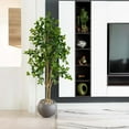thumbnail image 5 of Nearly Natural Potted Black Olive Artificial Tree - 6' - Green, 5 of 8