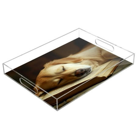 

Acrylic Tray 15.7*11.8*1.9 Inch Transparent Tray Food Tray Tea Cup Tray Serving Trays Cosmetics Storage Kitchen Table Bathroom Sundry Storage Sleeping Dog