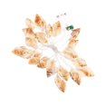 thumbnail image 4 of MasteelfCA 3M 20 Bulbs LED Hawaiian Party Night Light Decoration Ocean Beach Party Lamp String Conch-shaped Night Lamp (Battery Style Without Battery), 4 of 7