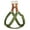Green, variant on Didog No Pull Dog Harness Soft Adjustable Nylon Step in Puppy Strap Vest Outdoor Walking