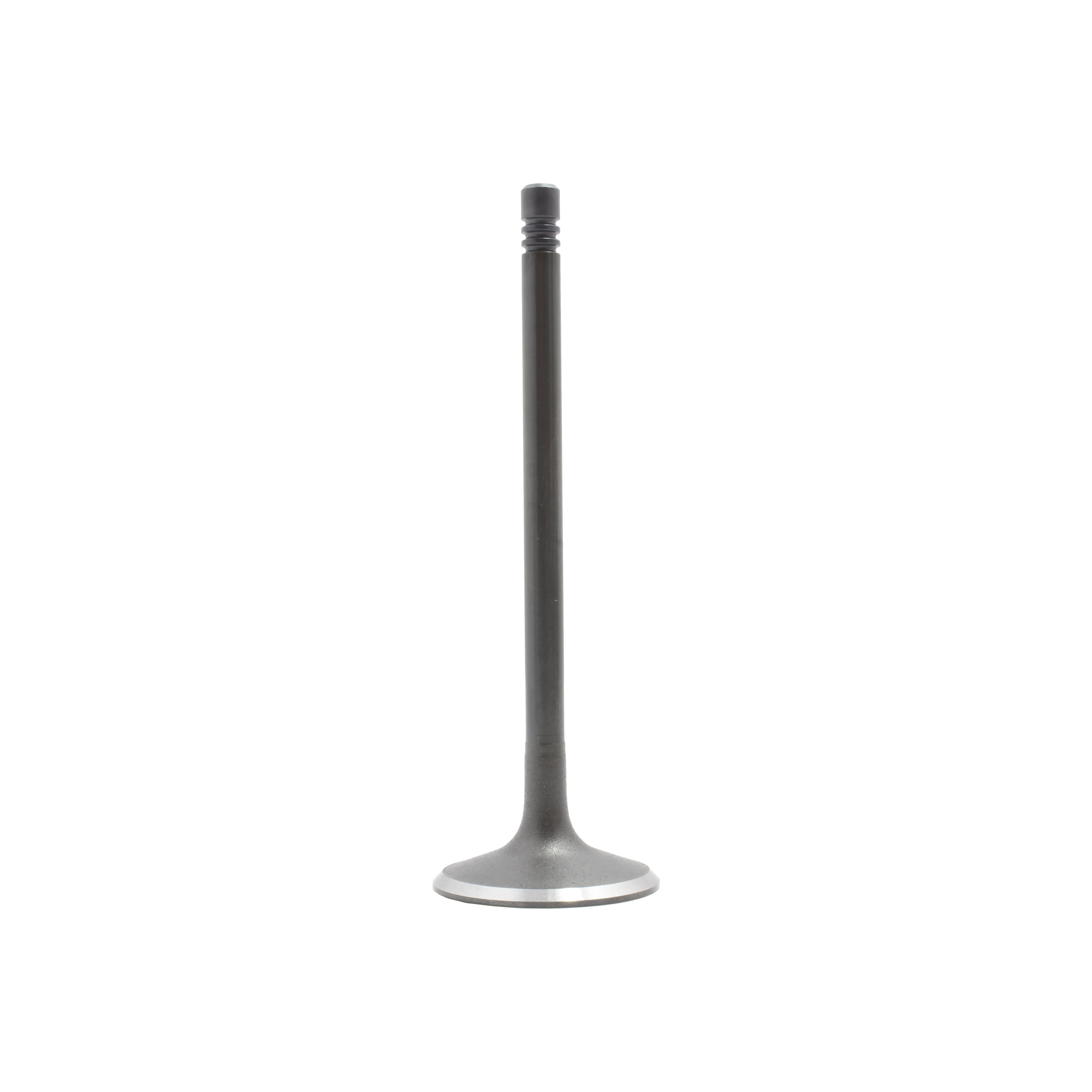 DNJ IV802 Intake Valve Fits Cars & Trucks 05-15 Audi Volkswagen A3 Quattro 2.0L-4.2L DOHC 16v