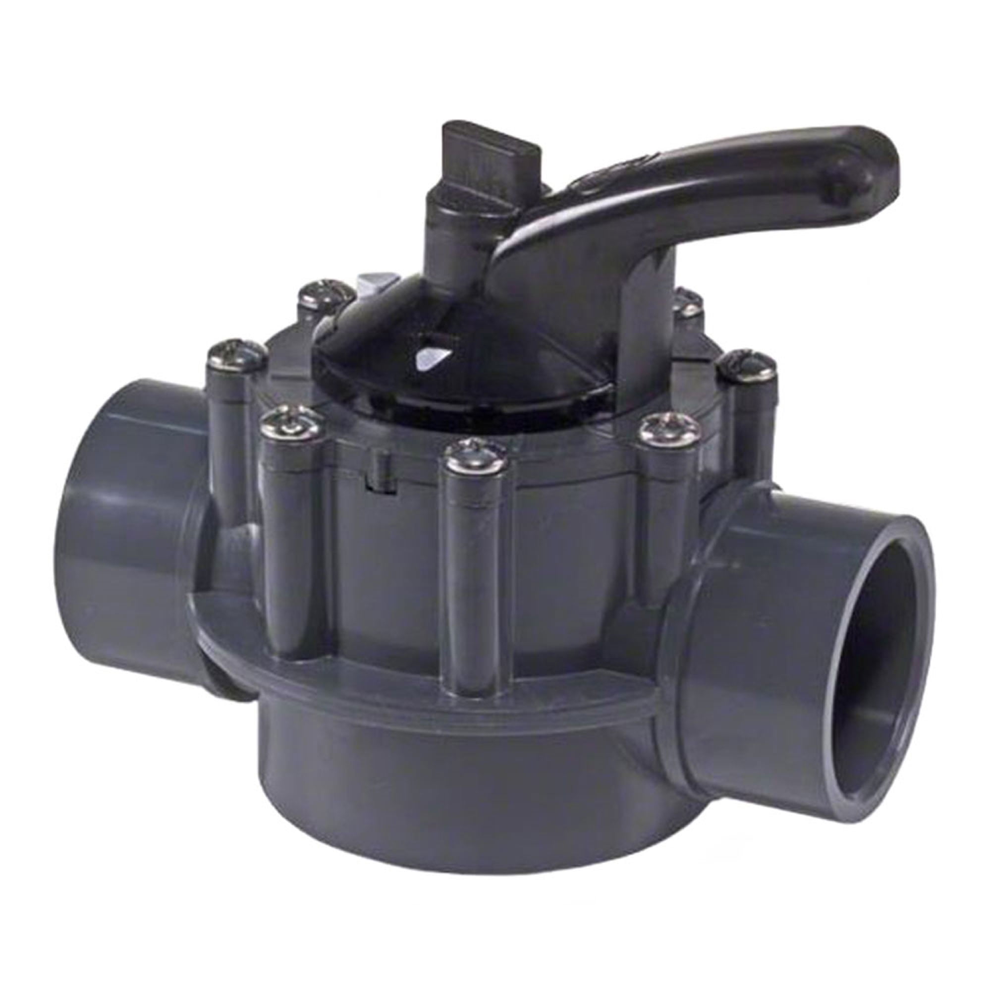 Pentair 263042 2 Port Straight Check Valve CPVC for Pool Pumps for sale online 