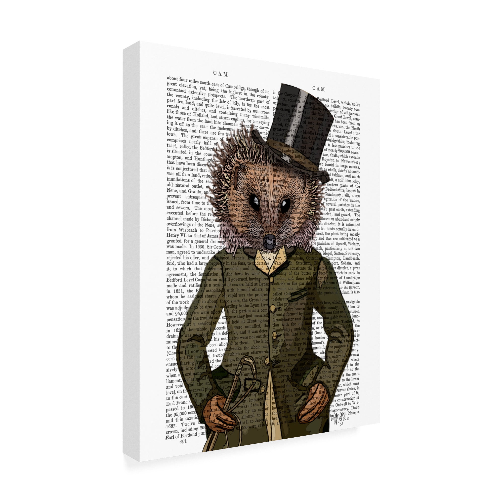 Trademark Fine Art 'Hedgehog Rider, Portrait' Canvas Art by Fab Funky