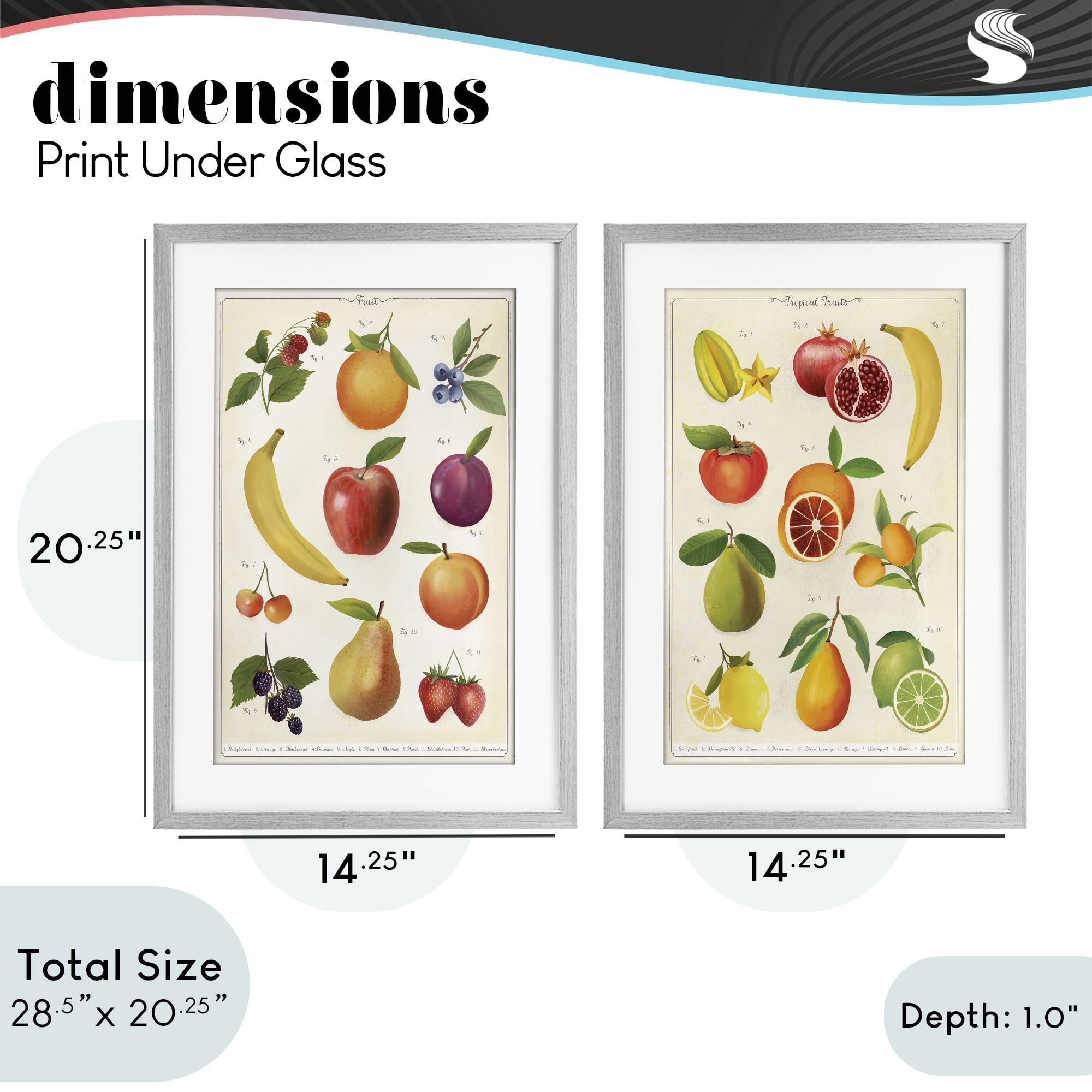 Stupell Industries Kitchen Studies Fruit 2 Piece Gray Framed Print Under Glass Set, design by Diane Neukirch