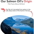 thumbnail image 2 of Brilliant Salmon Oil for Dogs and Cats, All-Natural Norwegian Fish Oil Omega 3 Supplements for Pets, 16.9 fl oz, 2 of 8
