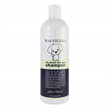 UPC: 0857826003681 | Wagberry All About The Spa Shampoo