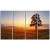 DESIGN ART Designart - Lonely Tree at Sunset - 4 Panels Landscape Photography Canvas Print