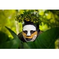 thumbnail image 2 of Noriega, Juanra 24x17 White Modern Wood Framed Museum Art Print Titled - Surma III, 2 of 4